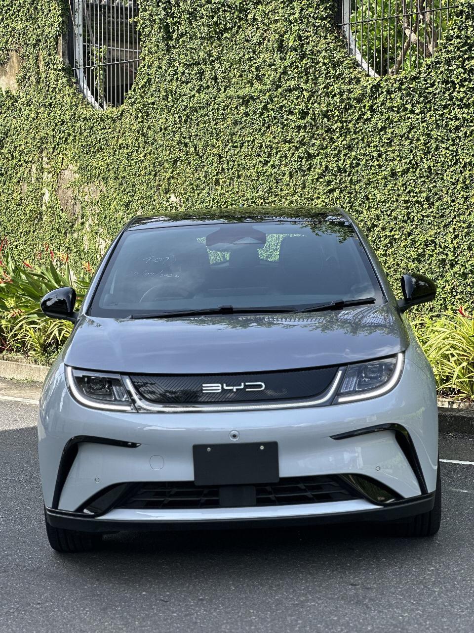 BYD Dolphin Extended 2024