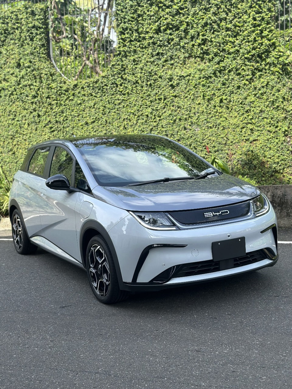 BYD Dolphin Extended 2024