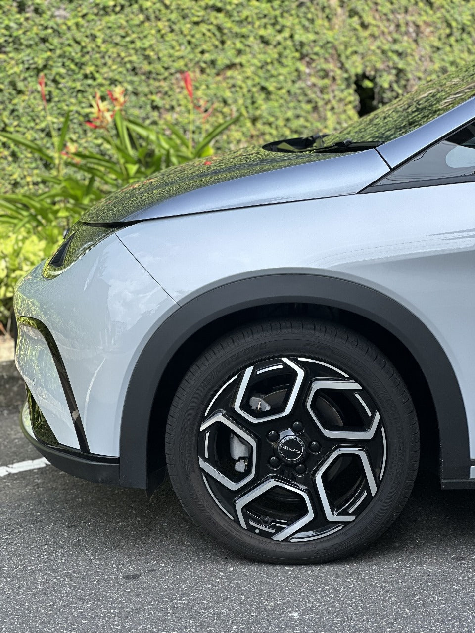 BYD Dolphin Extended 2024