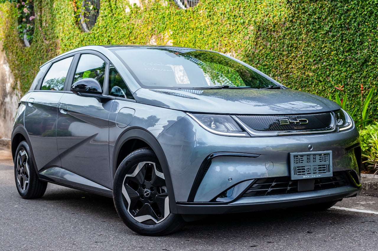 BYD Dolphin Premium 2024