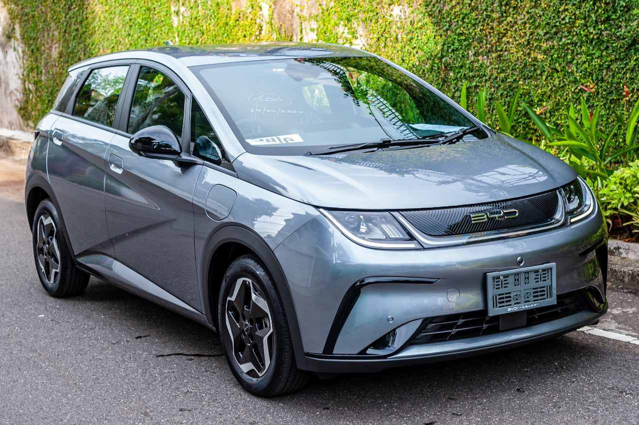 BYD Dolphin Premium 2024