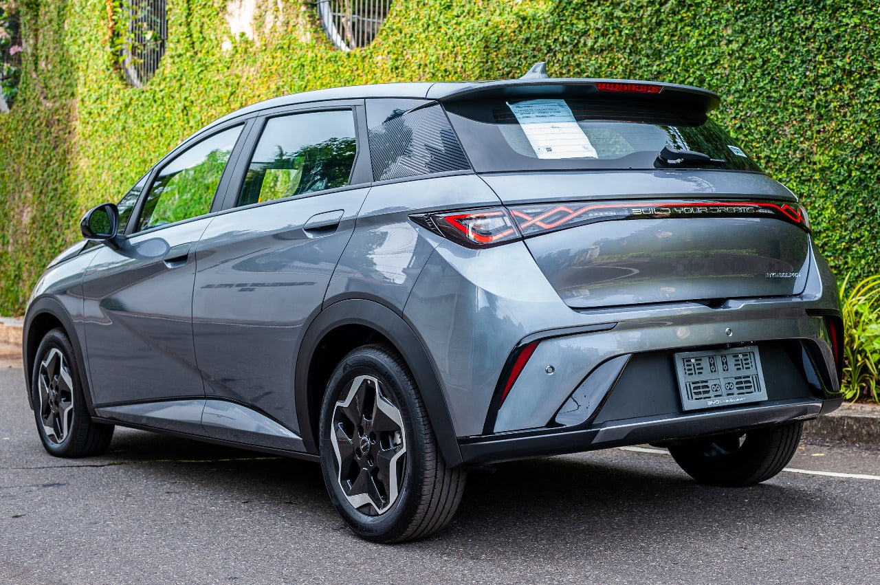 BYD Dolphin Premium 2024