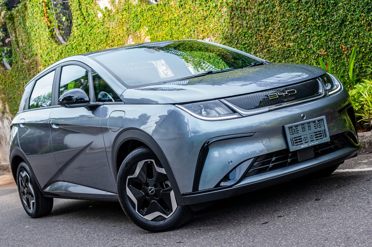 BYD Dolphin Premium 2024